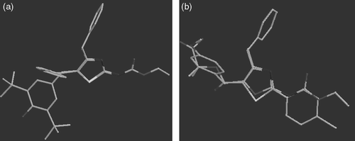 Figure 3.  Superimposition analysis of most active molecule RS31 (a) with Darbufelone (b) with Romazarit.