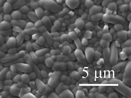 Figure 1. SEM micrograph of Ba4Sm2Hf4Nb6O30 ceramic.