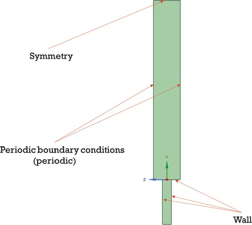 Figure 5. Boundary conditions of the reactor (OYZ plane).