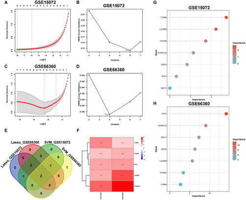 Figure 5. Selection of hub genes. LASSO regression (A, C) and SVM (B, D) of GSE15072 and GSE66360. In the Venn diagrams, five genes appear at least three times in the four gene sets (E), which are all upregulated in the two datasets. LogFC of hub genes between groups are displayed (F). The importance of seven NET-related DEGs (G, H). SVM: support vector machine.