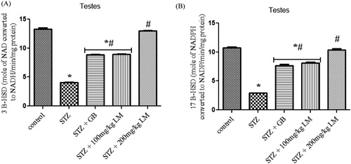 Figure 6. Effects of L. micranthus on activities of steroidogenic enzymes in control and STZ-induced diabetic rats. Each bar represents mean ± SEM of eight rats. *p < 0.05 compared to control. #p < 0.05 compared to diabetic control group. STZ, 60 mg streptozotocin; STZ + GB, 60 mg STZ + 5 mg Glibenclamide; STZ + 100 mg, 60 mg STZ + 100 mg LM extract; STZ + 200 mg, 60 mg STZ + 200 mg LM extract.