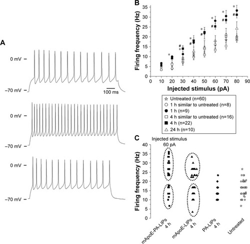 Figure 3 Effect of mApoE-PA-LIPs on the firing frequency of neurons.Notes: (A) Representative current-clamp recordings from neurons; APs were recorded during the application of 1 s of depolarizing injected current of 60 pA from a holding potential of −70 mV. The upper traces were recorded from untreated cells, the middle and the bottom traces were recorded from cells incubated with mApoE-LIPS for 4 h. The difference in the frequency of firing is evident. (B) Relationship between the average frequency of AP firing elicited and the respective amplitude of injected stimulus over the whole range of stimuli tested. Neurons incubated with mApoE-PA-LIPs for 1 h (n=17) or 4 h (n=38) displayed sub-population of cells that fired with a significantly higher frequency (filled circles and squares, respectively) compared to control condition (n=60; empty star) or to longer time incubations (n=10; empty triangles) (*,#p<0.01). For the sake of clarity of the plot, data related to the mApoE-LIPs incubation are not presented in this panel. (C) Scattered plot showing the existence of two populations of firing frequency in neurons incubated for 4 h with mApoE-PA-LIPs or mApoE-LIPs when the injected current was 60 pA. Untreated neurons and neurons incubated with PA-LIPs behaved similarly among themselves.Abbreviations: PA, phosphatidic acid; LIPs, liposomes; AP, action potential.