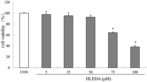 Fig. 2. Cell viability in RAW264.7 macrophages treated with HLEDA. RAW264.7 cells were exposed to HLEDA at the indicated concentrations for 48 h and evaluated by MTT-based EZ4U test. Cell viability of treated samples was expressed as a percentage of surviving cells compared with that in the vehicle control. Values are expressed as mean ± S.D. of three individual experiments performed in triplicate. CON stands for vehicle control. *p < 0.05 vs. the control group.