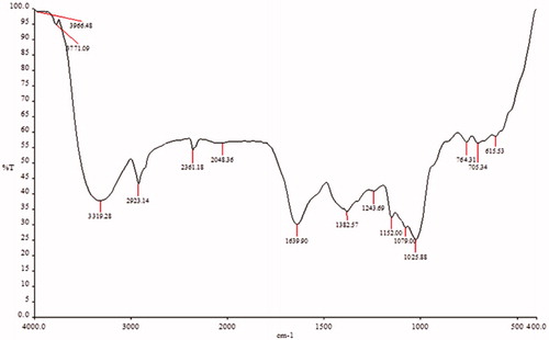 Figure 4. FT-IR spectrum of synthesized AgNPs from aqueous leaf extract of I. batatas.