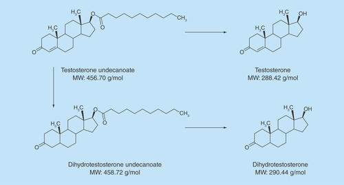 Figure 1.  Molecular structures of testosterone undecanoate, dihydrotestosterone undecanoate, testosterone and dihydrotestosterone.