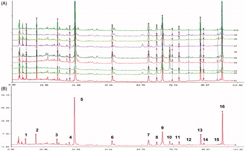Figure 2. HPLC fingerprints of (A) 10 batches of ginger samples (S1–S10) and (B) the reference chromatogram.