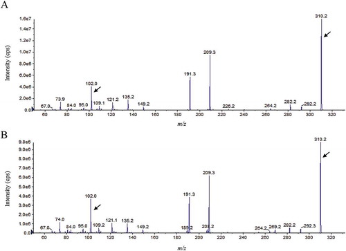 Figure 2. ESI-MS/MS analysis of C14:1-HSL extracted from the cell-free supernatant of a M. populi P-1M culture (a) and the synthetic standard (b). All corresponding MS/MS fragment peaks for C14:1-HSL (m/z 310) along with the product ion peaks (m/z 102) are marked with arrows.