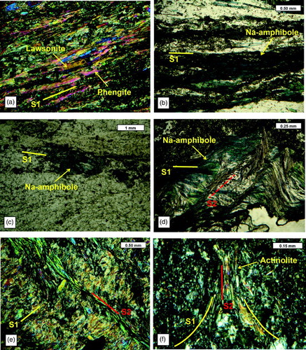 Figure 3. Cozzo Cervello and Mongrassano units microstructures. a) Lawsonite and phengite along S1 foliation within metabasalts; Microphoto in polarised light, crossed nicols; b) Blastesis of Na-amphibole along S1 in the metabasalts. Microphoto in polarised light, parallel nicols; c) Na-amphibole along S1 foliation in the metarenites. Microphoto in polarised light, parallel nicols; d) Na-amphibole crenulated during D2 event in the metabasalts. Microphoto in polarised light, parallel nicols; e) Blastesis of white mica and development of S2 foliation. Microphoto in polarised light, crossed nicols; f) Blastesis of actinolite along S2 foliation in the metabasalts of the CC unit. Microphoto in polarised light, crossed nicols.