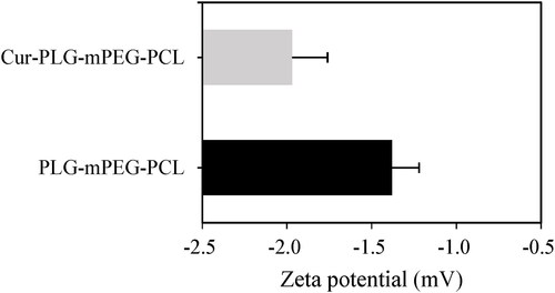 Figure 4. Average zeta potential of PLG-mPEG-PCL and Cur-PLG-mPEG-PCL.