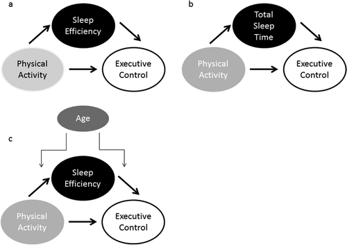 Figure 1 Set of hypothesized (a) and alternative (b & c) mediation models: (a) hypothesized model whereby sleep efficiency is mediator in the relationship between physical activity and executive control; (b) total sleep time as a mediator in the relationship between physical activity and executive control; (c) age a moderator of the mediating role of sleep efficiency in the relationship between physical activity and executive control.