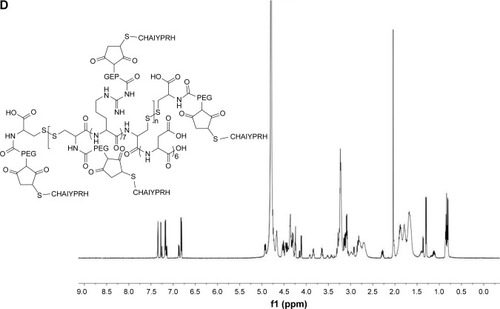 Figure 3 (A) Synthesis of CRD-PEG-T7 and 1H-NMR spectra of (B) CRD, (C) CDR-PEG, and (D) CRD-PEG-T7 in D2O at 600 mHz.Abbreviations: Arg, arginine; Asp, aspartic; CRD, disulfide cross-linked arginine-aspartic acid peptide; CRD-PEG, conjugates of bifunctional PEG and disulfide cross-linked arginine-aspartic acid peptide; CRD-PEG-T7, disulfide bonds cross-linked arginine-aspartic acid peptide modified with peptide T7; Cys, L-cysteine hydrochloride monohydrates.