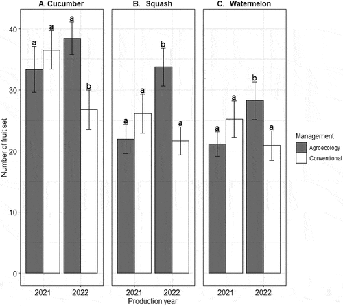 Figure 4. Number of fruit sets in cucumber, squash and watermelon across two consecutive years in agroecological and conventional farming. Significance letters refer to the a posteriori comparisons for the significant interaction management x production year.