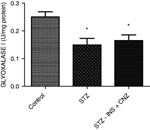 Figure 6.  GLO activity in liver from STZ-induced diabetic rats subjected to FST not treated (STZ) and treated with insulin plus CNZ (STZ − INS + CNZ) (n = 12–13) and controls (n = 12). Data represent mean ± S.D. *p < 0.05 compared to the control group (ANOVA followed by the Duncan test).