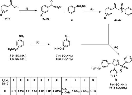 Scheme 1. Reagents and conditions: (i) Br2, acetic acid; (ii) 1,2-dimethoxyethane, tetrabutylammonium iodide, reflux; (iii) (a) HCl, NaNO2, 0 °C and (b) NaN3, 0 °C; and (iv) DMSO, piperidine.