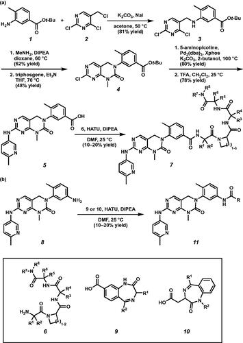 Scheme 1. (a) Synthesis of kinase inhibitors containing turn mimetic amide scaffolds. (b) Synthesis of kinase inhibitors possessing benzodiazepines.