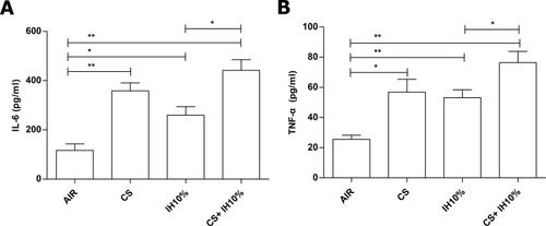 Figure 4 Concentration of IL-6 and TNF-α in peripheral blood of each group. Levels of serum (A) IL-6 and (B) TNF-α were measured with ELISA. Data presented as mean ± SD (n=5 per group). * P <0.05; ** P <0.01.