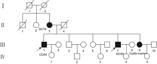 Figure 1. Pedigree structure of the Chinese family. Family members with disease are indicated by the shading. Squares and circles denote males and females, respectively. Roman numerals indicate generations. The arrow indicates the proband (III-1).