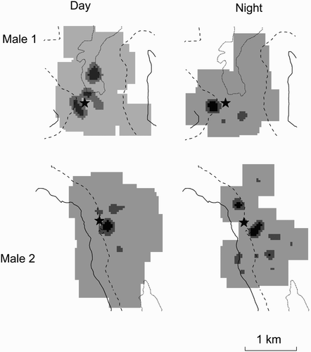 Figure 1. The kernels of activity by radiotagged male Short-eared Owls in Scotland during daylight and at night in the 2011 breeding season. Darker shading shows the areas of core activity of most frequent use (30% kernel density), intermediate shading (60% kernel activity) and lighter shading (90% kernel activity) show the active area of use; the dotted contours show 300 m asl, the dashed contours show 400 m asl and the solid lines 500 m asl; the locations of nest-sites are indicated by star symbols.