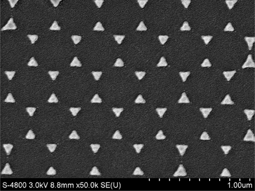 Figure 1 SEM image of topography of the triangular Ag nanoparticles fabricated by nanosphere lithography (×50,000).