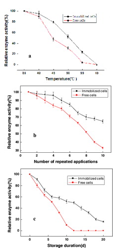 Figure 3. Performance of immobilized and free E. coli LY13-05 cells. Thermal stability (a), repeated application stability (b) and storage duration performance (c). Note: Error bars represent standard errors of the means; data analyses were done using standard deviation.