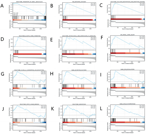 Figure 4 Enrichment plots from the gene set enrichment analysis (GSEA). (A–L) ES, enrichment score; NES, normalized ES; ADJ P-val, adjusted P-value.