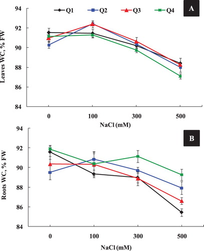 Figure 2. Leaves (A) and Roots (B) water content of four quinoa genotypes cultivated under different NaCl concentrations (0, 100, 300 and 500 mM) during 15 days of treatment. Data are means of 6 replicates ± SE.