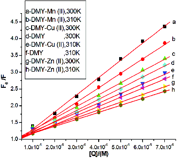 Figure 2. Stern-Volmer plots for BSA fluorescence quenching by DMY, DMY-Cu (II), DMY-Mn (II) and DMY-Zn (II) complexes at 300 and 310 K.