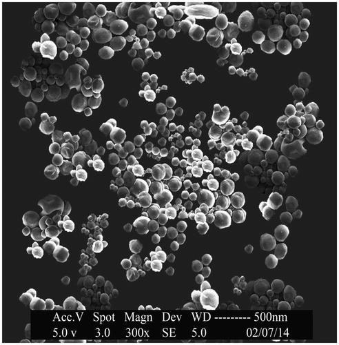 Figure 8. SEM image of oxaliplatin solid lipid nanoparticles.