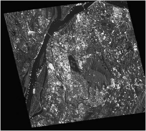 Figure 1. SAR amplitude image for testing.