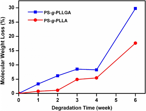 Figure 6 Molecular weight losses for PS-g-PLLA and PS-g-PLLGA.