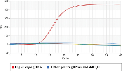 Figure 3. Specificity determination of the proofman-LMTIA assay.