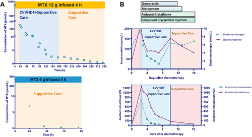 Figure 1 Time course of plasma methotrexate concentrations (A) and medications and liver/renal function (B).