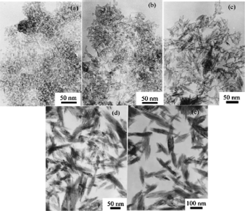 Figure 21. Representative TEM images of CuO nanocrystals synthesized at various volume ratios of DMSO and water: (a) 50:3; (b) 10:1; (c) 5:1; (d) 5:2; (e) 1:1 Citation41.
