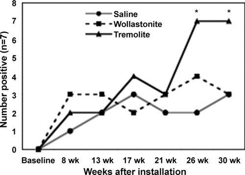 FIG. 1 Frequency of positive ANA assays in C57Bl/6 mice treated with tremolite asbestos. At various time points following intratracheal instillation with saline, wollastonite or tremolite serum samples were assayed by IIF on HEp-2000 cells at a 1:40 serum dilution. n = 7 mice/group. *p < 0.05 by ANOVA followed by Bonferroni's correction for multiple pair-wise mean comparisons.