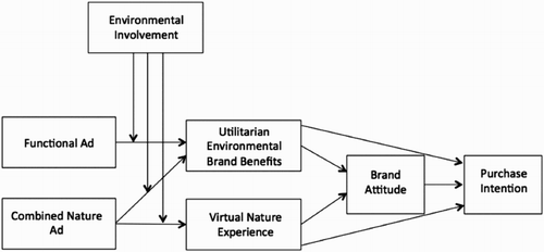 Figure 1. Model for path analysis.Note: Control variables (age, gender, education, survey mode, and perceived consumer effectiveness), measurement errors, and correlations between all exogenous variables were omitted from depiction for clarity reasons.