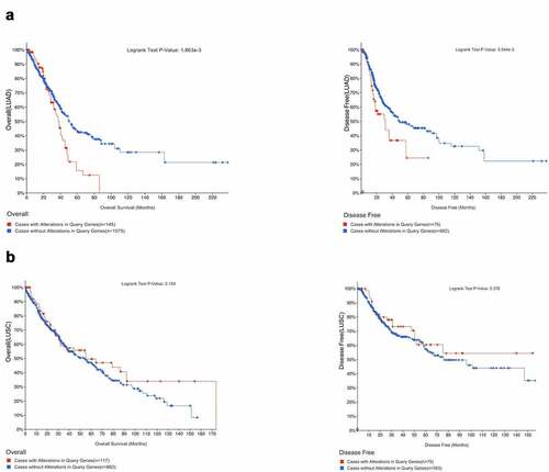 Figure 4. Correlation between the genetic alterations of XRCCs and prognosis of patients with LUAD and LUSC.(A) Correlation of genetic alterations in XRCCs with OS and DFS in LUAD patients.(B) Correlation of genetic alterations in XRCCs with OS and DFS in LUSC patients