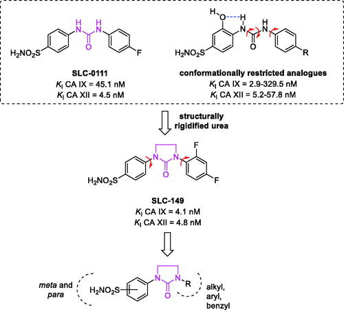 Figure 1. Previously described benzenesulfonamide ureas and rational approach to the design of the newly proposed structurally rigidified ureido compounds.