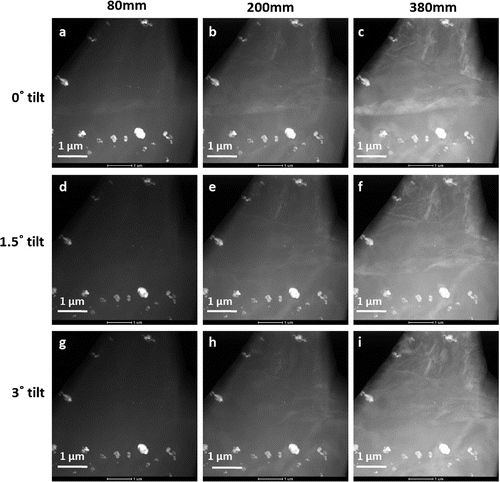 Figure 4. A series of STEM-ADF images showing variation of twin contrast from the same region as shown in Figure 3a, at different tilt positions and at different camera lengths. Rows from top to bottom: tilts of 0∘, 1.5∘and 3∘, columns from left to right: camera lengths 80, 200 and 380 mm.