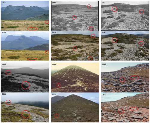 FIGURE 7. Repeat photographic pairs with year of photo given. Top left is Mount La Perouse, top middle and right is The Boomerang, bottom left is Rocky Hill, bottom middle is Little Mount Emmett, bottom right is Hill One.