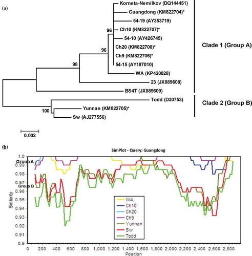 Fig. 4 (Colour online) (a) Bayesian phylogenetic tree of the genomic RNA3 of Potato mop-top virus (PMTV) isolates. Phylogenetic analyses were carried out with the Bayesian inference (BI) in MrBayes v3.22. For each node, the Bayesian posterior probabilities are given above branches (only shown >50%) and isolate grouping based on genetic similarity and nodes with posterior probabilities greater than 70% are indicated. The nucleotide sequence accession number of each isolate is shown in parentheses. The newly sequenced isolates are indicated by ‘*’. The distance unit is substitutions/site. (b) Analysis of the sequence identities between RNA3 of ‘Guangdong’ (query sequence) and RNA3 of other isolates (reference sequences) using SimPlot. The similarities (y-axis, 0.9–1) were plotted along the nucleotide sequence (x-axis, 0–2900). The window covered 500 nucleotides and moved along the alignment with 20 nucleotides with every step. Other parameter settings were: distance model, Kimura (2-parameter); tree model, neighbour-joining; bootstrap replicates, 100; parental threshold, 70. Nucleotide sequence accession numbers for isolates are the same as shown in (a).