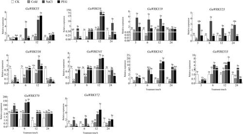 Figure 7. Relative expression of 10 GuWRKYs in leaves under low temperature, salt and drought treatments. The y-axis indicates the relative expression levels of GuWRKY genes using the 2−ΔΔCT method. The x-axis represents the RNA samples from the leaves in different treatment at four time points (3 h, 6 h, 12 h, 24 h), from left to right: CK (normal growth), cold (4 °C low temperature treatment), NaCl (150 mmol·L−1 NaCl salt treatment), PEG (15% PEG-6000 drought treatment). Actin was used as the internal reference gene for specific expression analysis. Data are shown as mean values ± SEM (n = 3). different capital letters indicate significant differences among the different time points under the same treatment at 0.05 level, and different lowercase letters indicate significant differences among the treatments at the same time point at 0.05 level (LSD test).