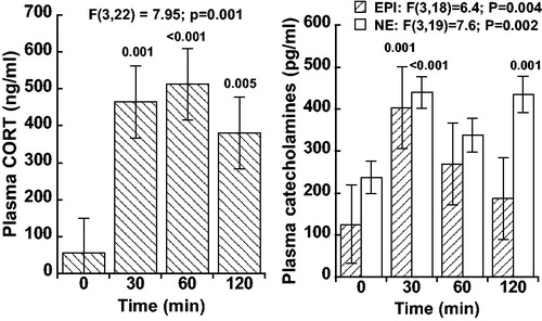 Figure 1. Plasma corticosterone (CORT; n = 9), plasma epinephrine (EPI; n = 8), and norepinephrine (NE; n = 8) at baseline (t = 0 min) and during initial 60% N2O inhalation (t = 30, 60, and 120 min) in rats. Values are mean ± SE and significance was determined by mixed model analysis. Time-points that differ significantly from baseline are indicated above bars. Note that EPI levels resolve more rapidly whereas CORT and NE exhibit more sustained increases.