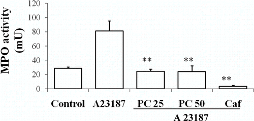 Figure 4.  Effects of administration of different doses of the dry residue from ethanol extract of P. carpunya on myeloperoxidase activity on rat peritoneal leukocytes treated with calcium ionophore A23187. Caffeic acid was included as a reference compound. **, P < 0.01 versus A23187 group.