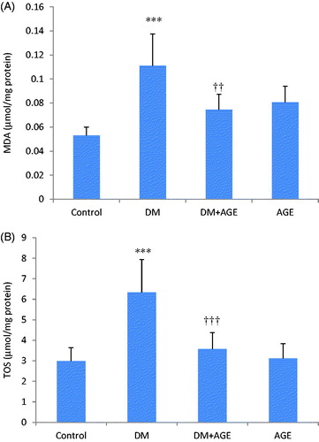 Figure 1. (A) Malondialdehyde (MDA) and (B) total oxidative status (TOS) levels in the kidney tissues of control rats, diabetic rats (DM), diabetic rats that treated with garlic extract (DM + AGE) and normal rats that received garlic extract (AGE). Results are mean ± SD (n = 6). ***p < 0.001 compare with control; ††p < 0.01 and †††p < 0.001 compare with DM.