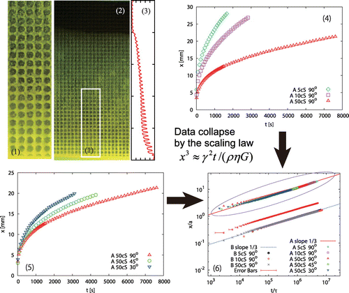Figure 3. (colour online) Imbibition of textured surfaces by silicone oil mixed with fluorescent molecules. Magnified view (1) and overview (2) are given, together with the brightness analysis visualizing the imbibing film whose thickness thins down with height. The relations between the imbibition height and the time for different viscosities and effective gravity are given in (4) and (5), respectively. Collapse of the data in (4) and (5) by virtue of the scaling law shown in the panel is demonstrated in (6).