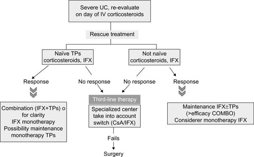 Figure 5 Therapeutic algorithm in severe ulcerative colitis.