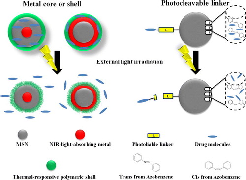 Figure 3. Schematic representation of the light-responsive MSNs. The metal core or shell of MSNs can effectively absorb NIR light and convert it to heat. With functionalization of thermal-responsive polymers on the surface of MSNs, drugs could be released upon remote NIR irradiation. Therapeutic drugs can also be immobilized on MSNs via photocleavable linkers. Upon irradiation at corresponding wavelengths, the linkers were cleaved and the cargos were unloaded from the porous structure of MSNs. Additionally, azobenzene derivatives, with their novel characteristics of the cis trans conformation switch by external light, could thereby be applied as ‘gatekeeper’ molecules to regulate the drug release from MSN-based nanocarriers.