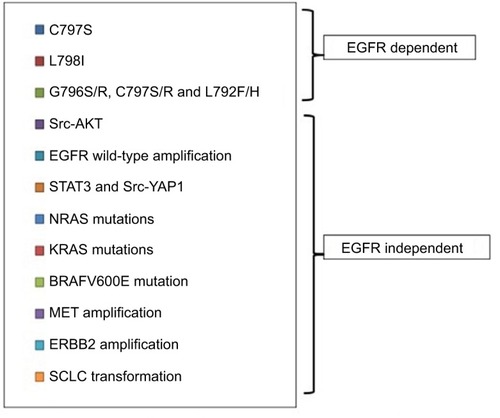 Figure 3 Mechanisms of resistance to third-generation EGFR TKI osimertinib.