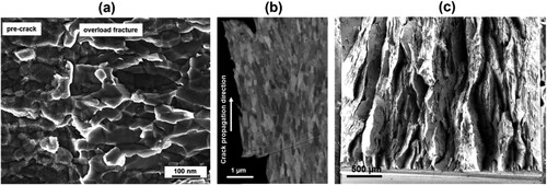 Figure 38. Typical fracture features of nanostructured metals exemplified with iron processed by severe plastic deformation. (a) Intercrystalline crack propagation which is the prevalent failure type in many severely deformed metals. (b) Crack runs along the elongated grain structure. (c) Perpendicular to crack plane, totally different failure type with numerous delaminations is found, inducing a substantially higher fracture toughness [Citation756].