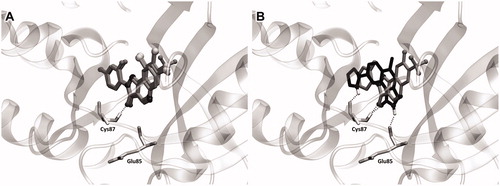 Figure 2. (A) Binding mode of PQs into the Chk1. (B) Comparison of the ligands binding modes between PQ 4h2 (grey) and reference YEX (black). The hydrogen bond interactions are shown as dashed lines.